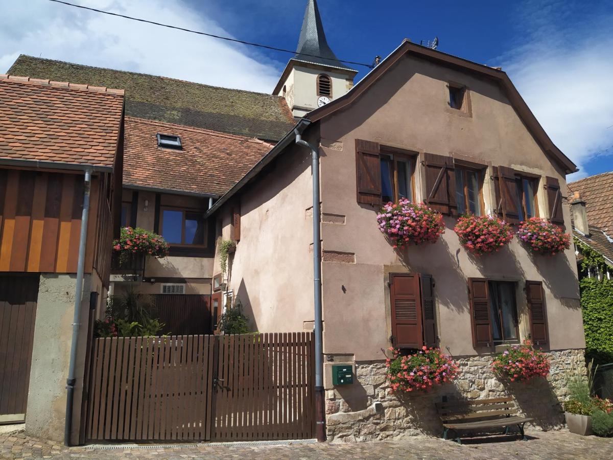 Appartments Rue Des Chateaux Ottrott Exterior foto